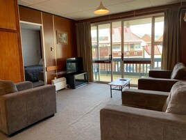 TelevisiĂłn de pantalla plana