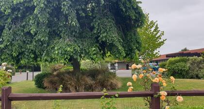 Commodore Motor Lodge