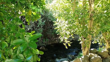 Garden View King Studio - Ground Floor | Terrace/patio