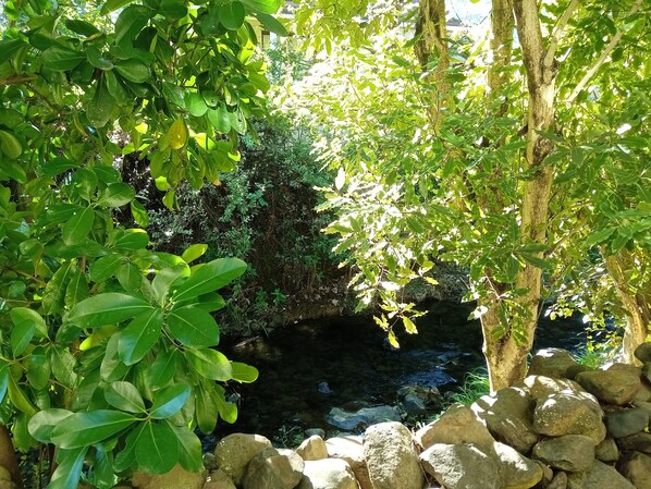 开间, 1 张特大床, 花园景观, 一层 | 露台