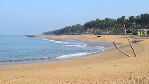 Une plage avec un ciel dégagé, une eau calme et, au loin, une rangée de palmiers.