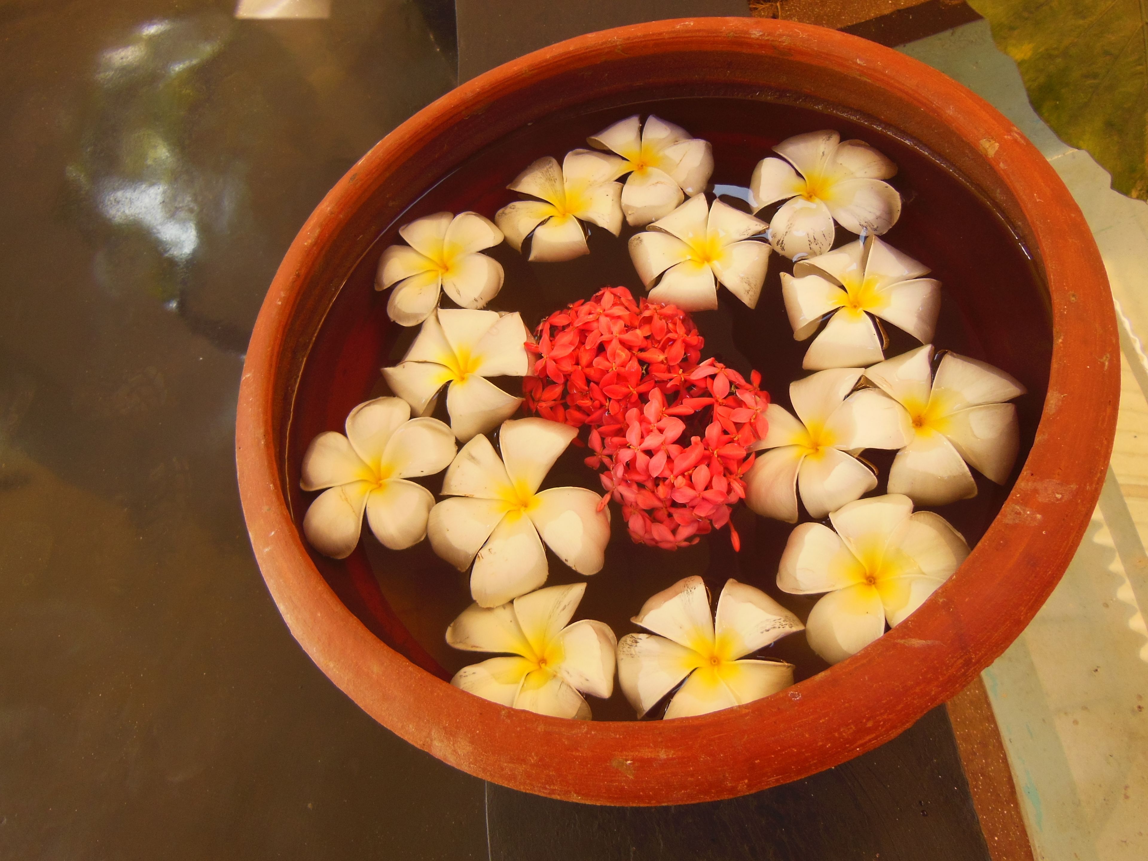 A terracotta pot filled with water, containing white flowers and a cluster of red flowers.