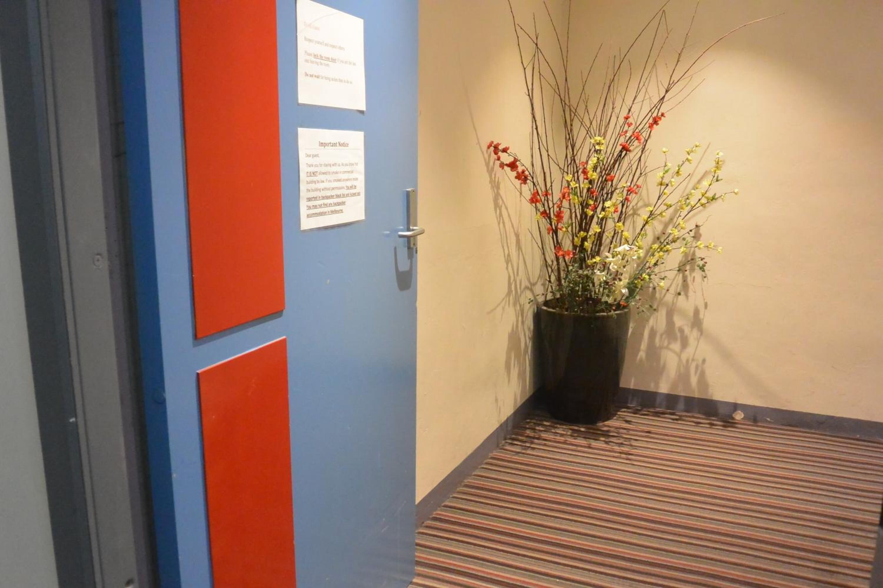 Photo - Elizabeth Hostel