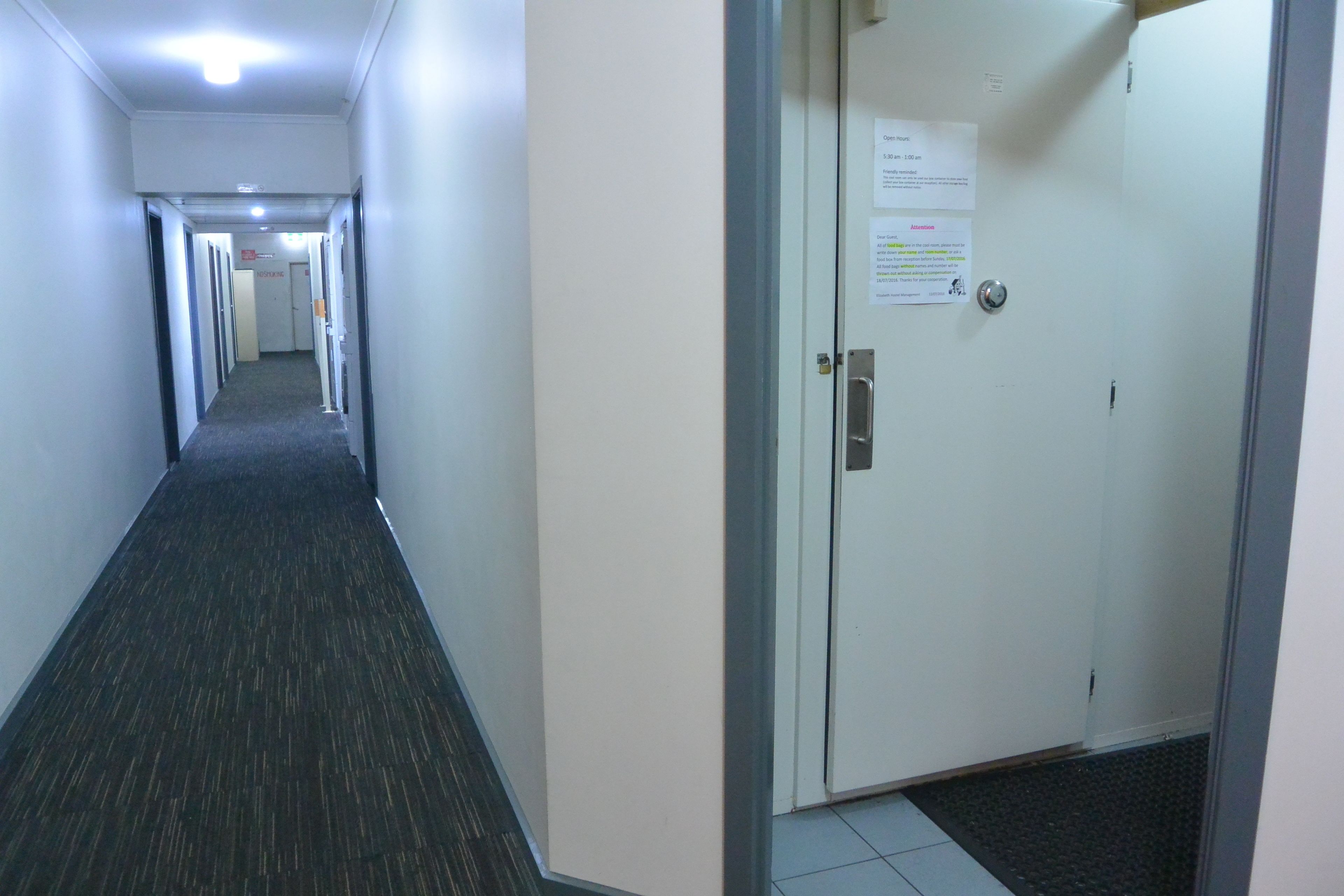 A hallway with carpeted floors, white walls, and doors on the right.