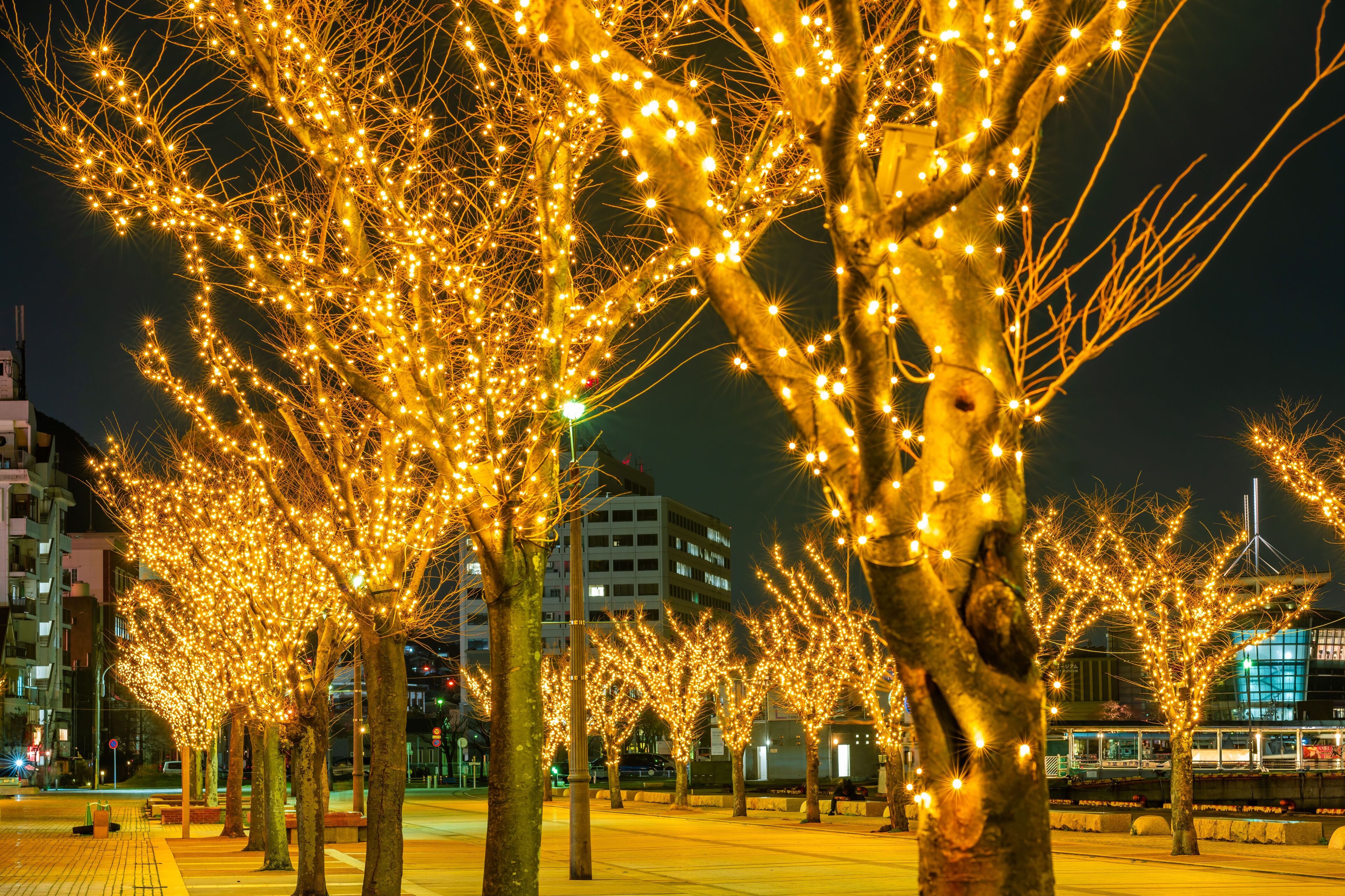 city view from property