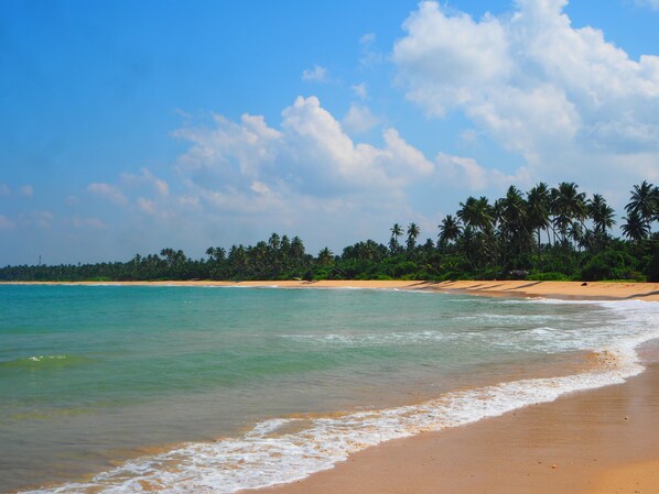 On the beach - Raja Beach Hotel (Balapitiya)