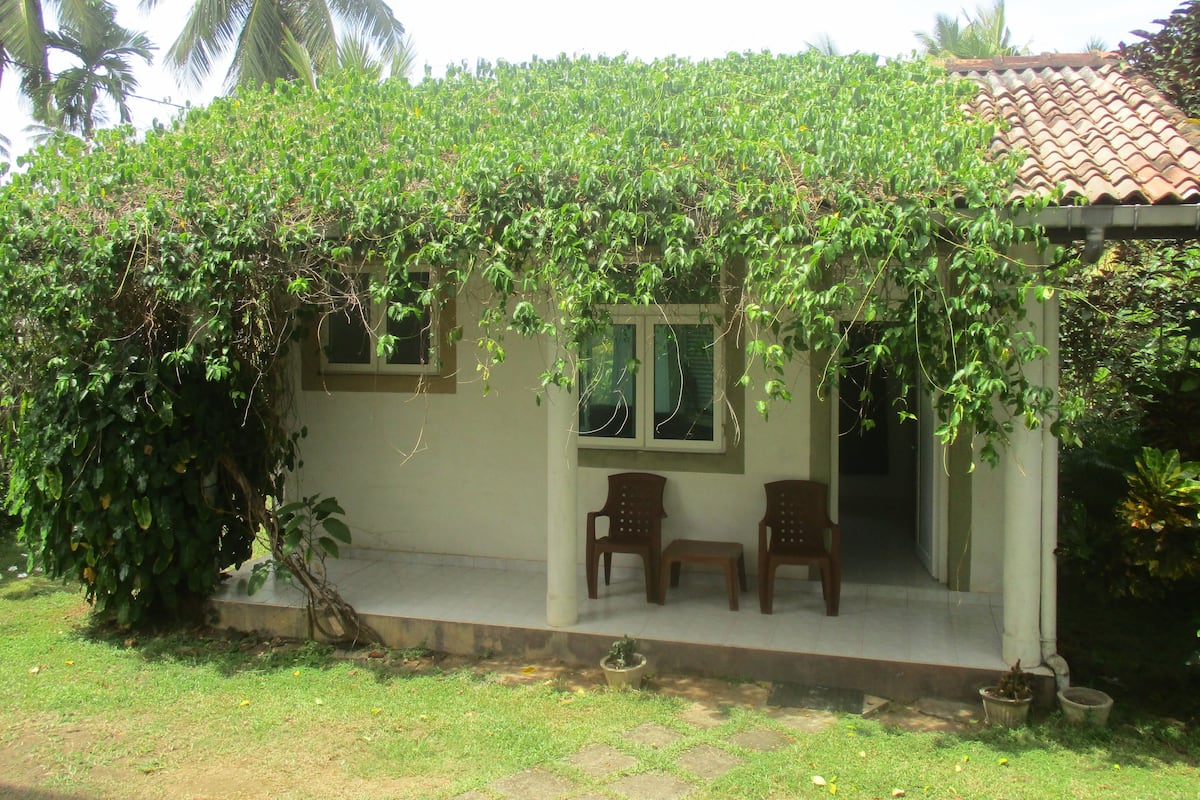 Standard Bungalow, 1 Queen Bed, Terrace | Blackout drapes, cribs/infant beds, free WiFi, bed sheets