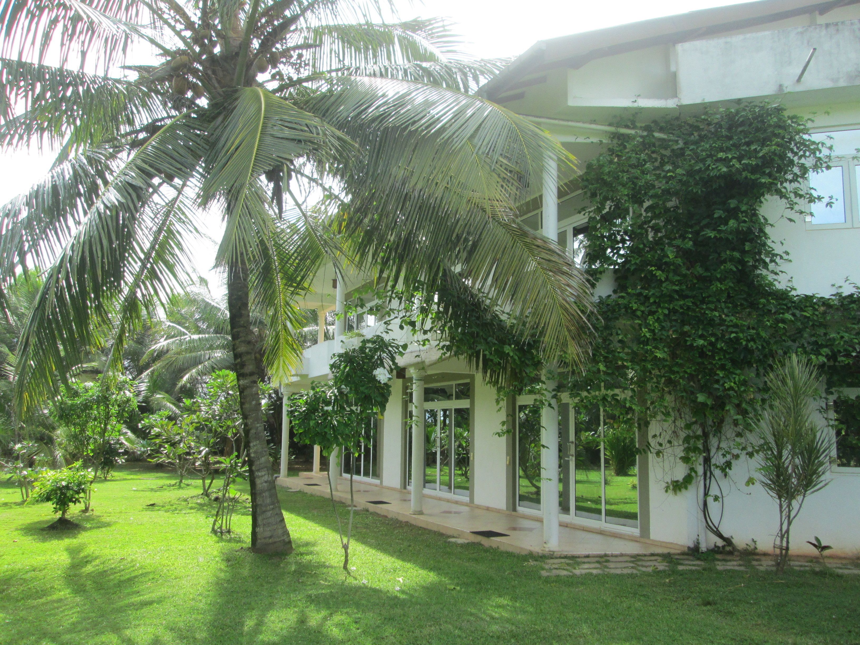 A building with a covered outdoor area, surrounded by greenery and palm trees.