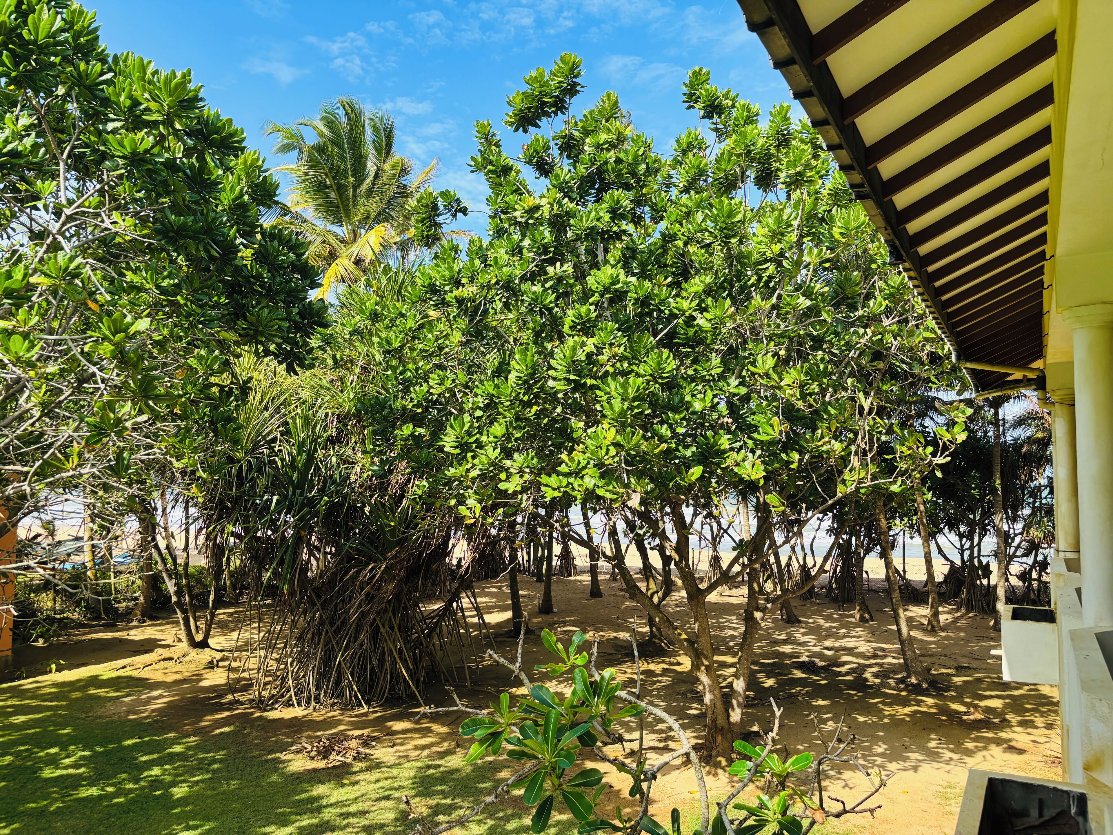Family Room, Balcony | Beach/ocean view