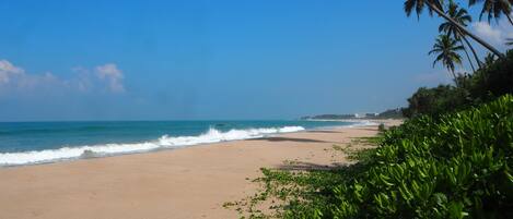 A beach with palm trees and ocean waves.