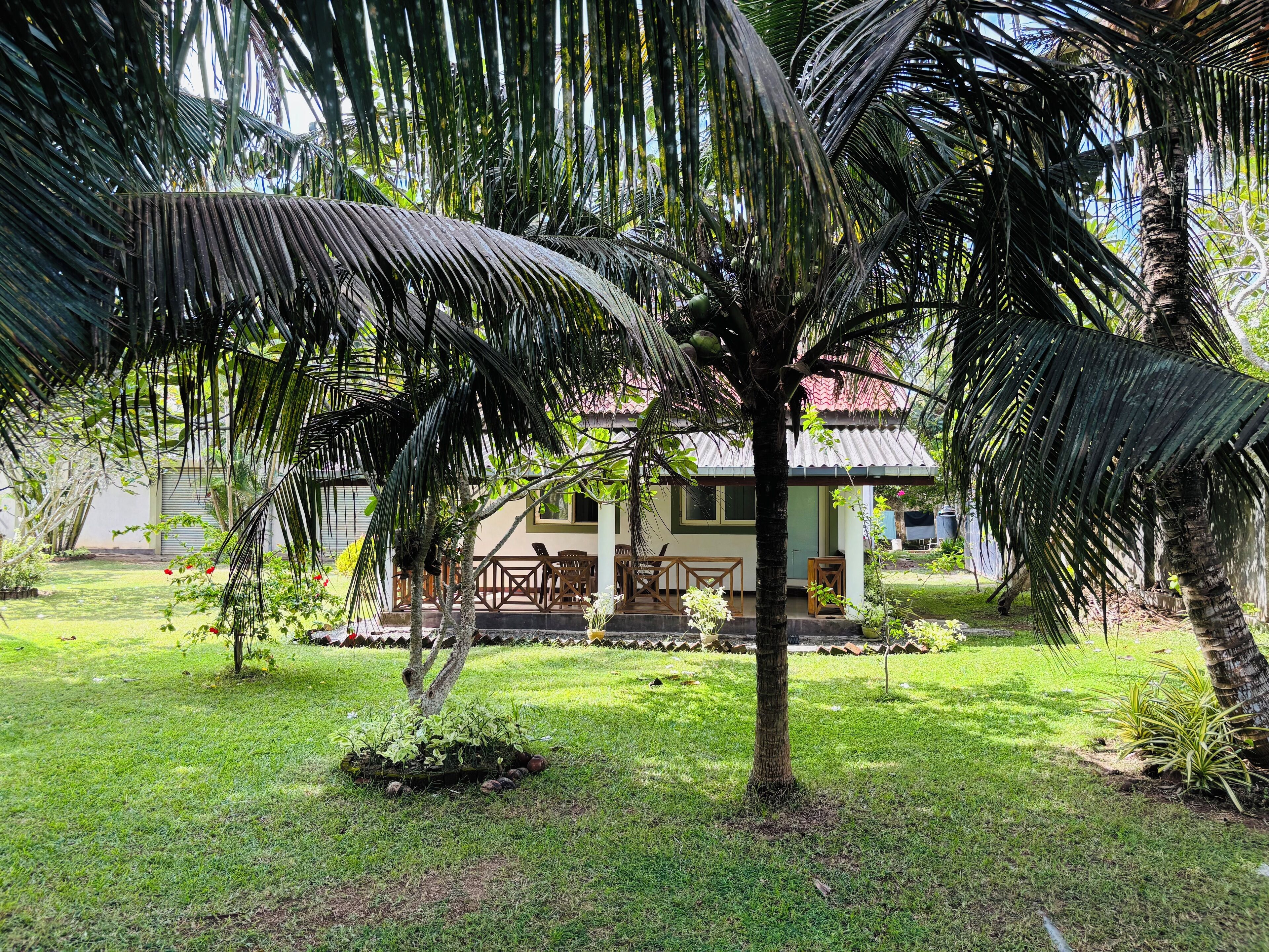 Standard Bungalow, 1 Queen Bed, Terrace | Blackout drapes, cribs/infant beds, free WiFi, bed sheets