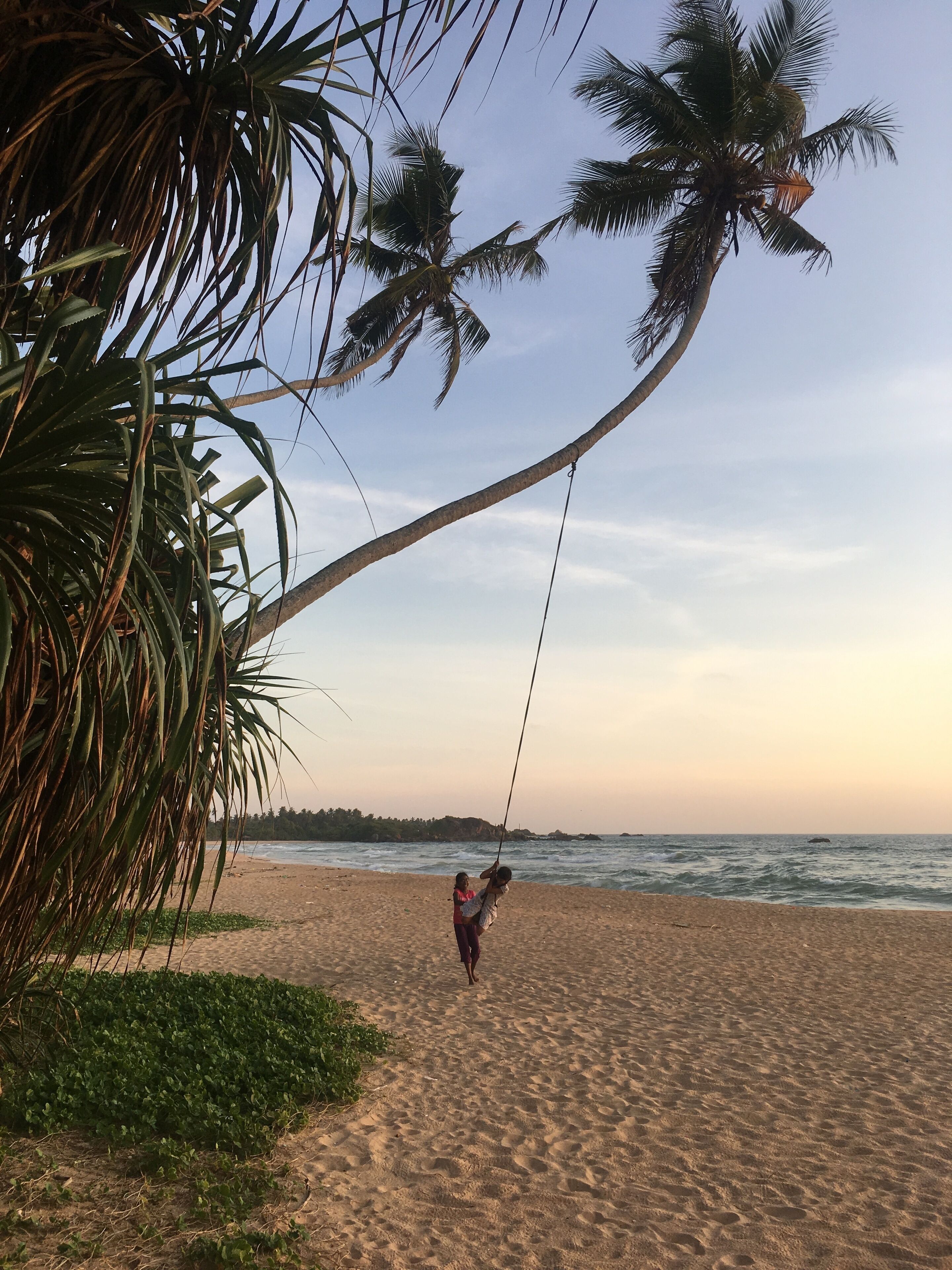 Escena de playa con una hamaca colgando de una palmera, una playa arenosa y el océano al fondo.