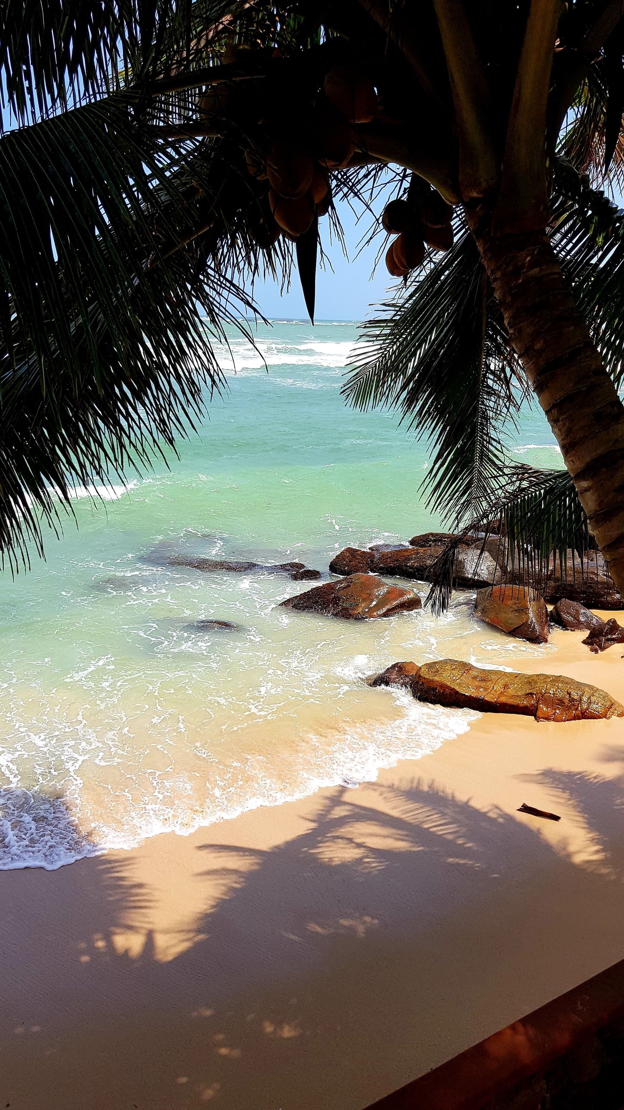 In-room safe, desk, free WiFi