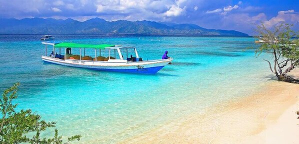 Plage à proximité, sable blanc, pêche sur place