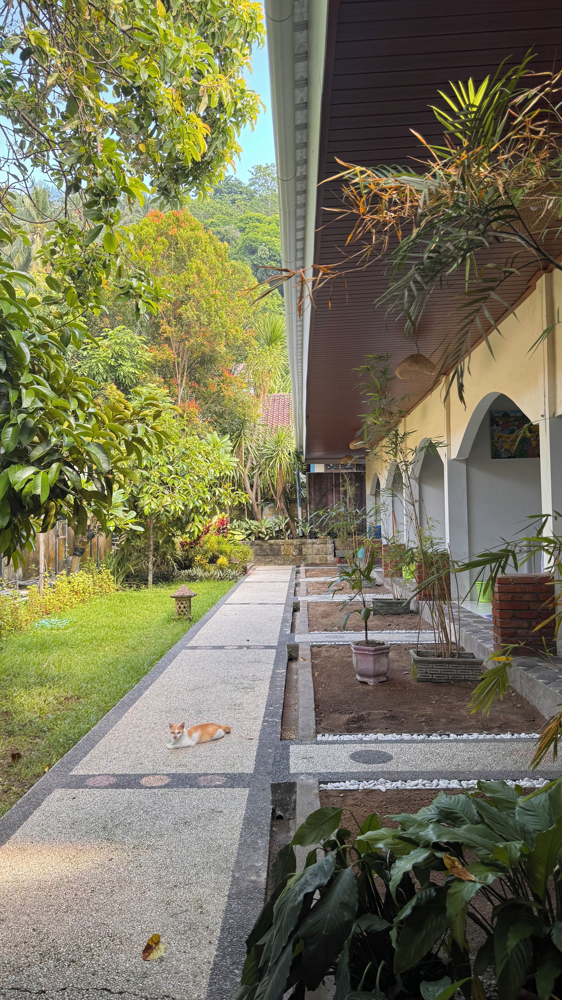 A pathway leading to a building with a covered entrance, surrounded by lush greenery and various plants.