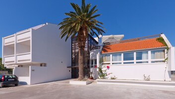 Un edificio moderno con fachada blanca, una palmera en primer plano y un techo de tejas rojas.