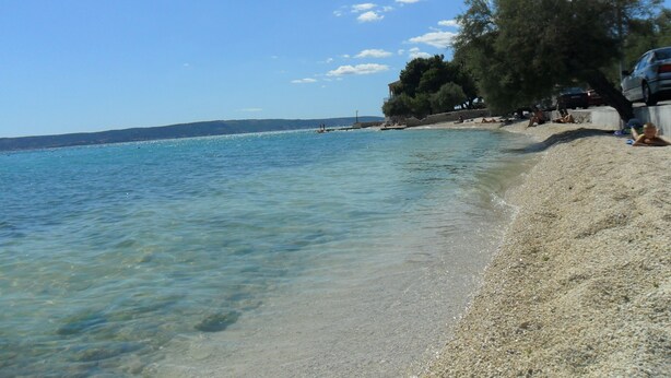 Una spiaggia con acque limpide, una riva sabbiosa e alcuni alberi.