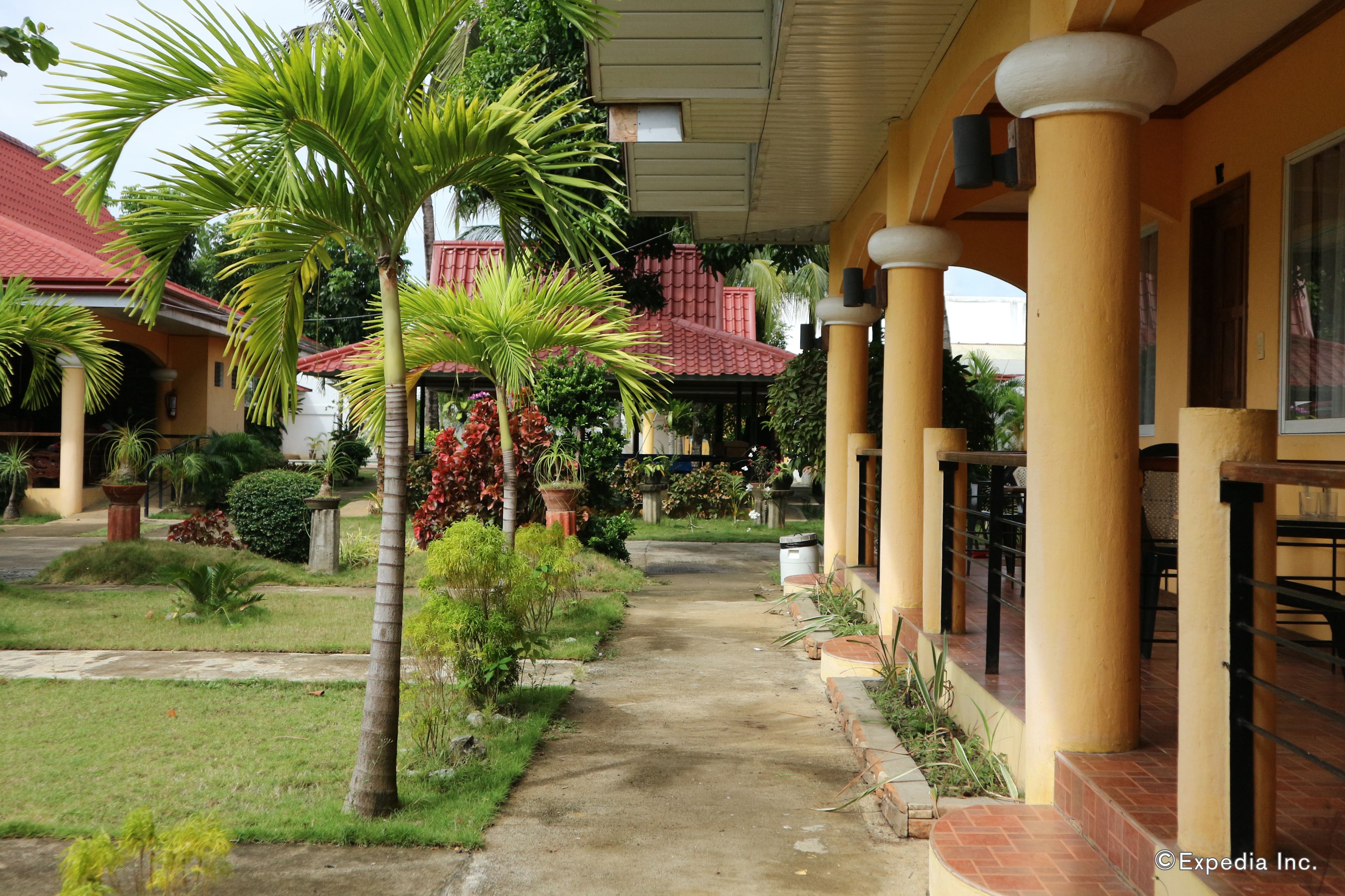 A covered walkway with palm trees and potted plants, leading to a building with a red-tiled roof.