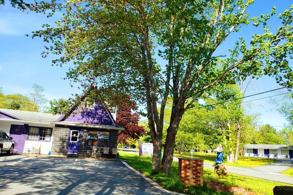 Front of property