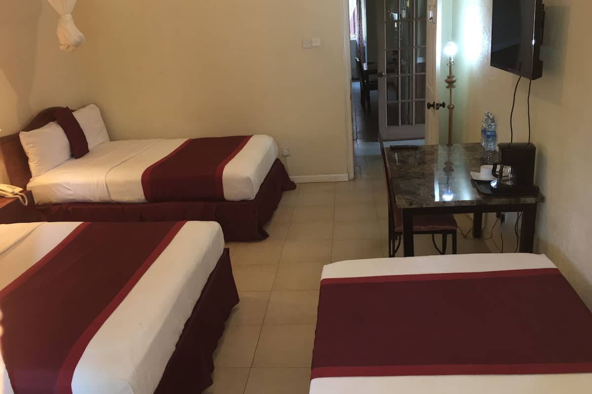 deluxe triple room, multiple beds, accessible | view from room