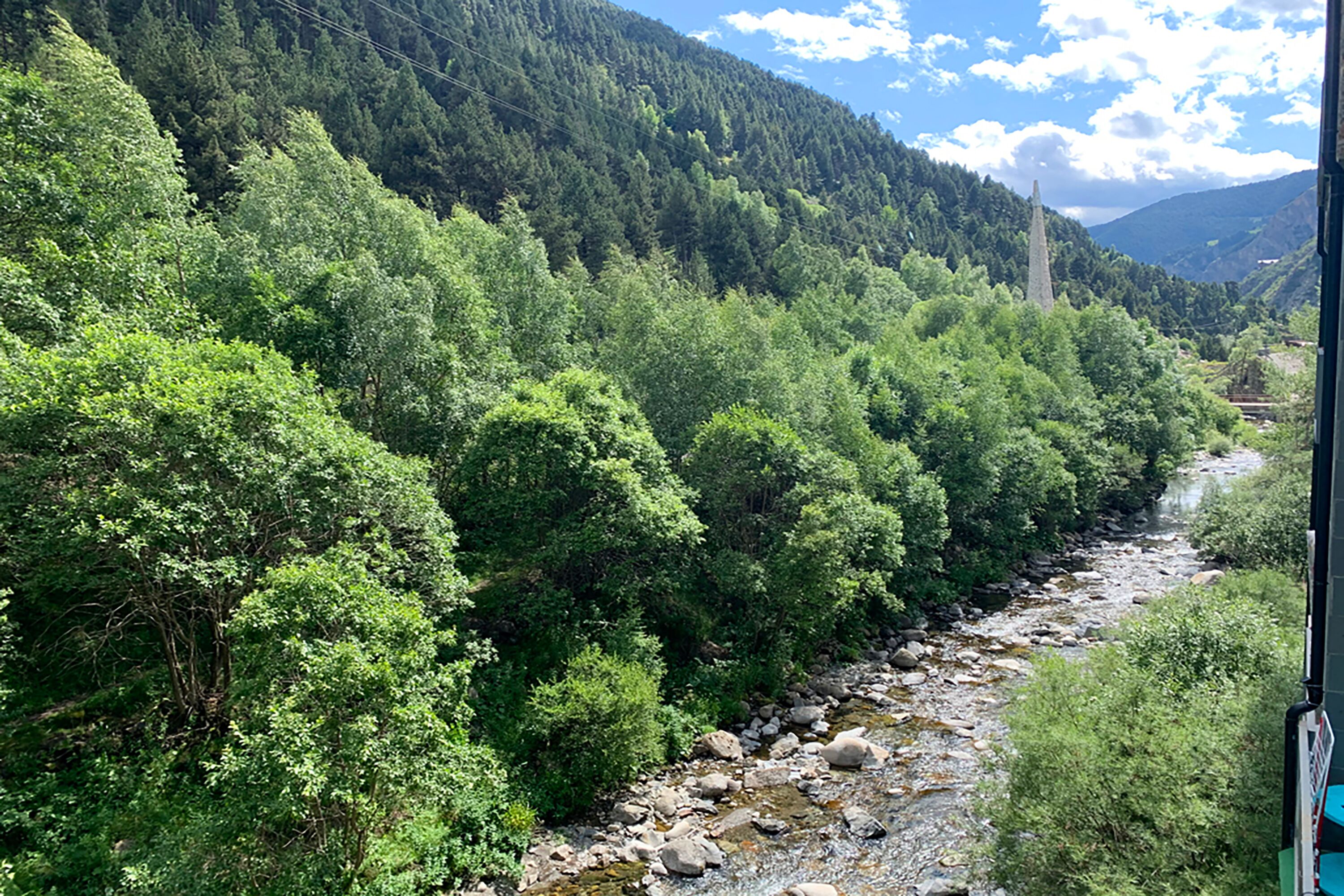 A river flowing through a densely forested valley with mountains in the background.