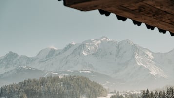 Paisagem montanhosa com picos cobertos de neve e um vale arborizado.