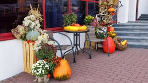 A patio area with a table and chairs, decorated with pumpkins and flowers.