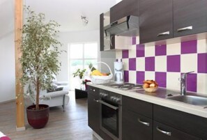 Apartment | Private kitchenette - Hotel des bois (Seltz)