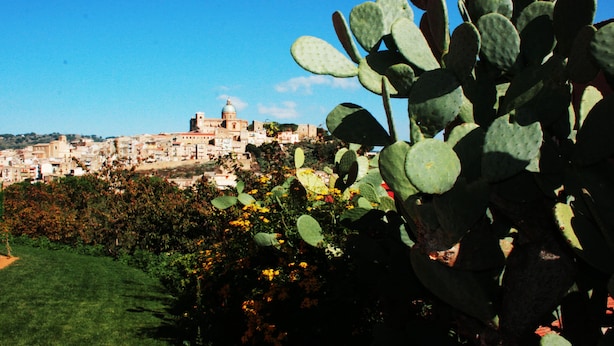 A cactus plant in the foreground with a cityscape in the background. - La Casa Rossa Country House (Piazza Armerina)