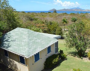 A single-story house with a green roof, surrounded by a well-maintained lawn and various shrubs. - Dolphin House Villa (Newcastle)