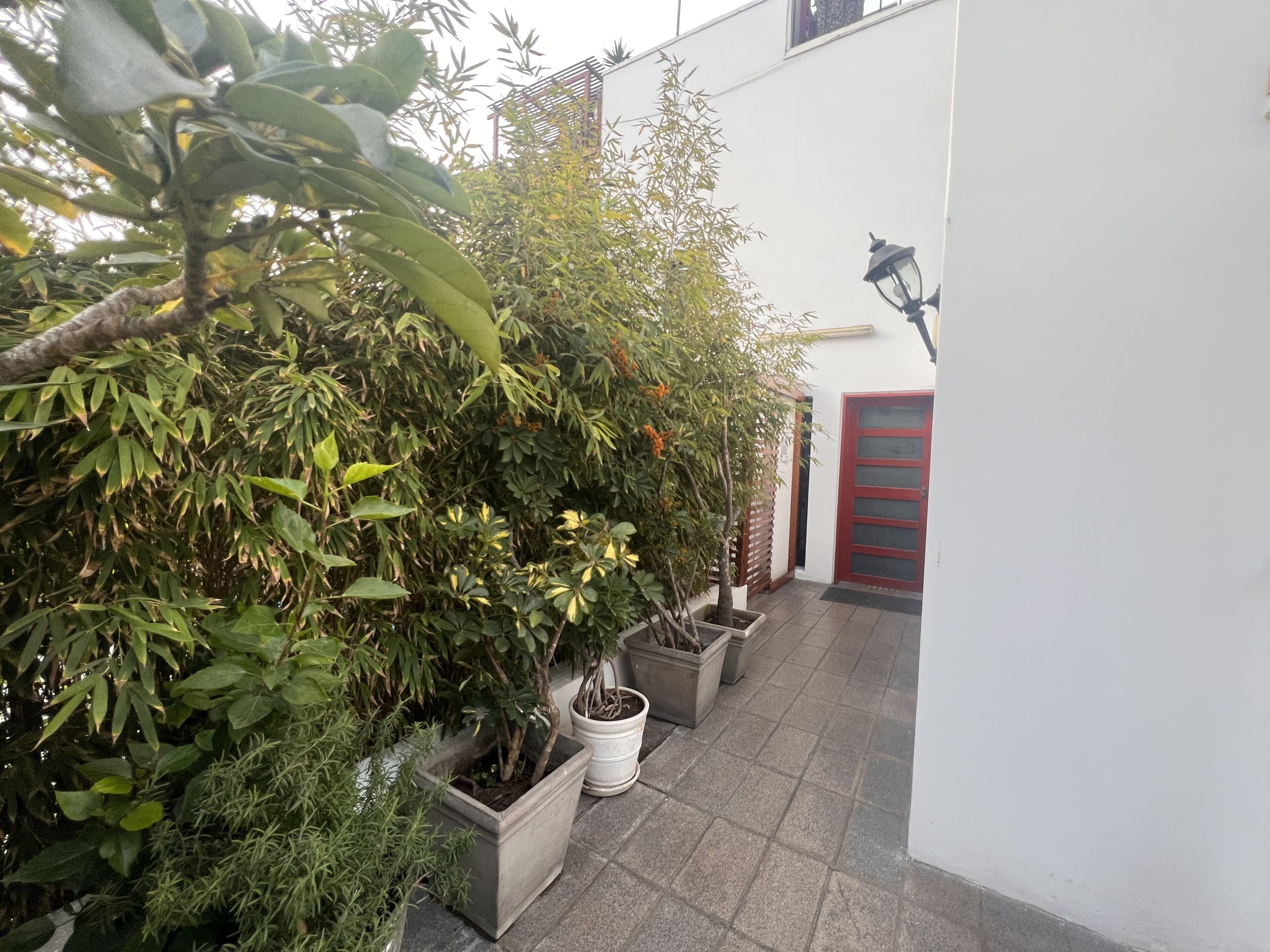 Foto - La Casa del Viajero