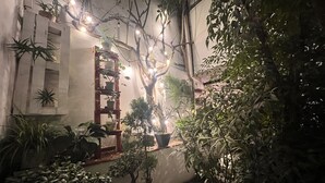 A cozy indoor garden with various potted plants and a wooden shelf. - La casa del Viajero (Lima)