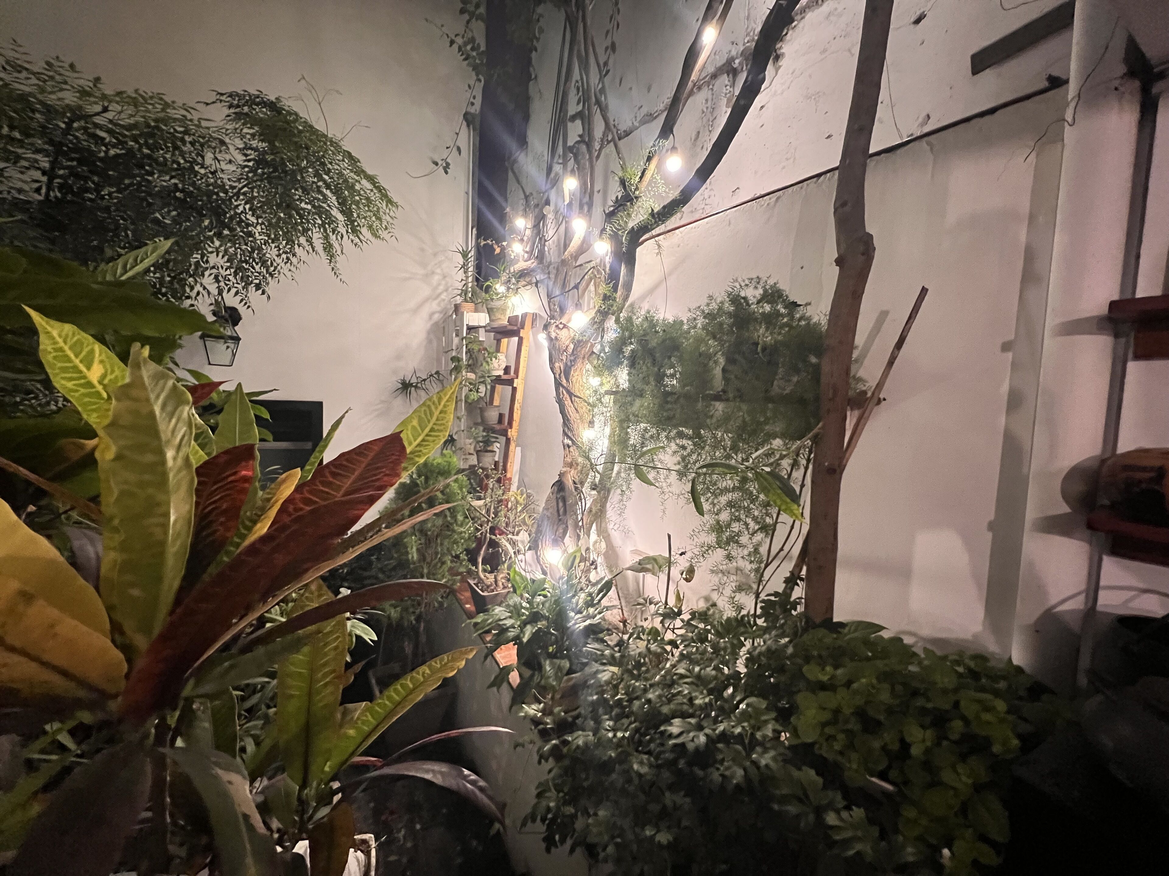 Foto - La Casa del Viajero