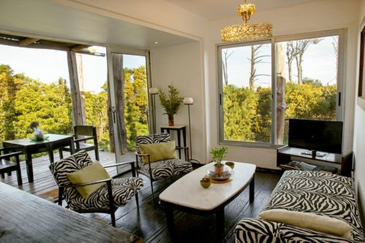 A modern living room with a zebra-patterned sofa, a wooden coffee table, and a television. Large windows offer a view of greenery outside.