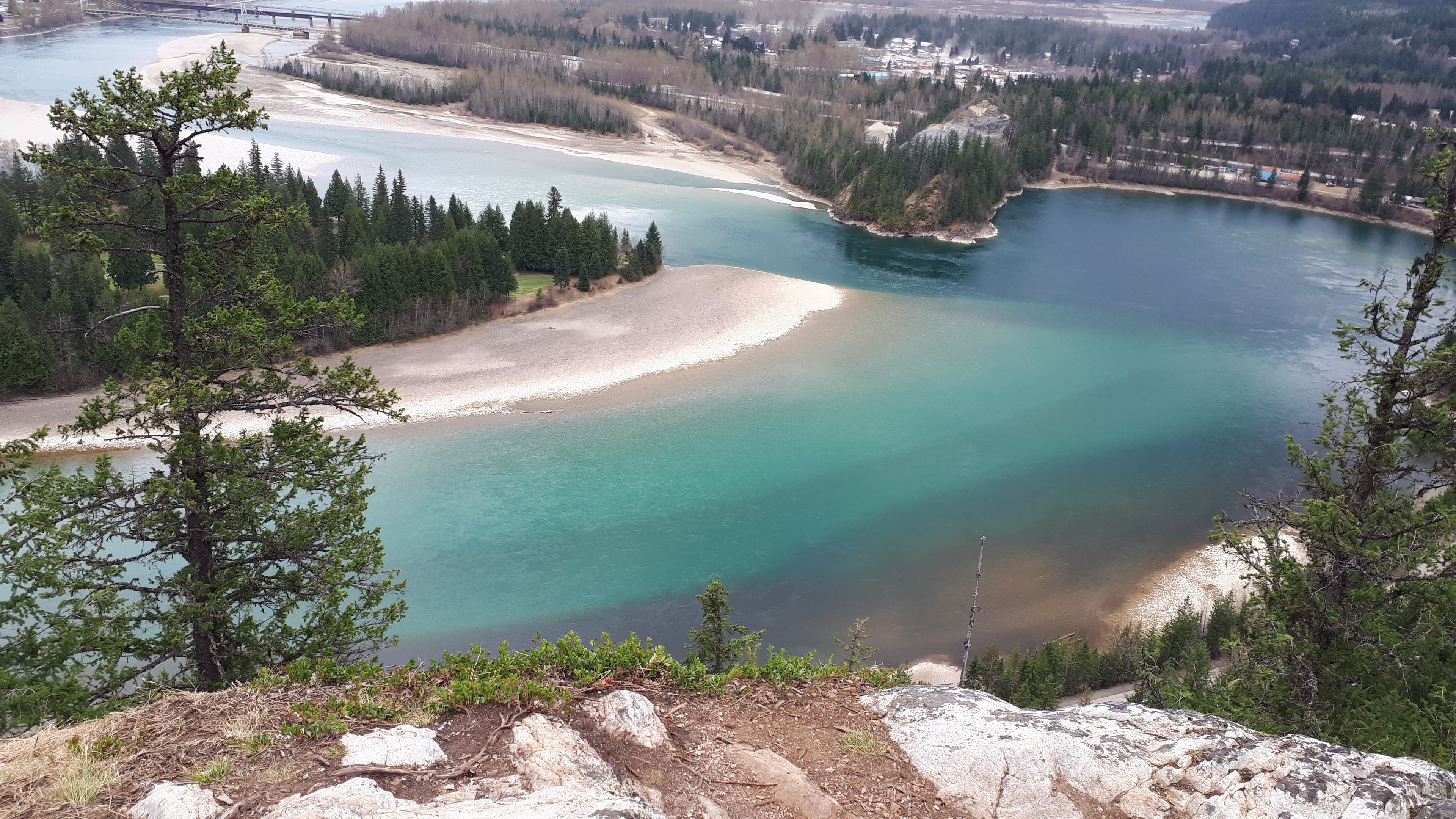 A panoramic view of a river with a sandy beach and dense forest.