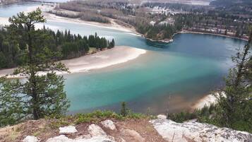 A panoramic view of a river with a sandy beach and dense forest.