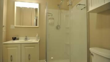 A bathroom with a glass-enclosed shower, a sink with a mirror above, and a toilet.