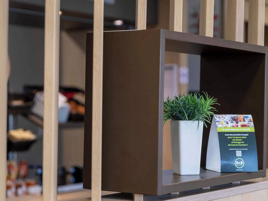 A shelf with a potted plant and a brochure.