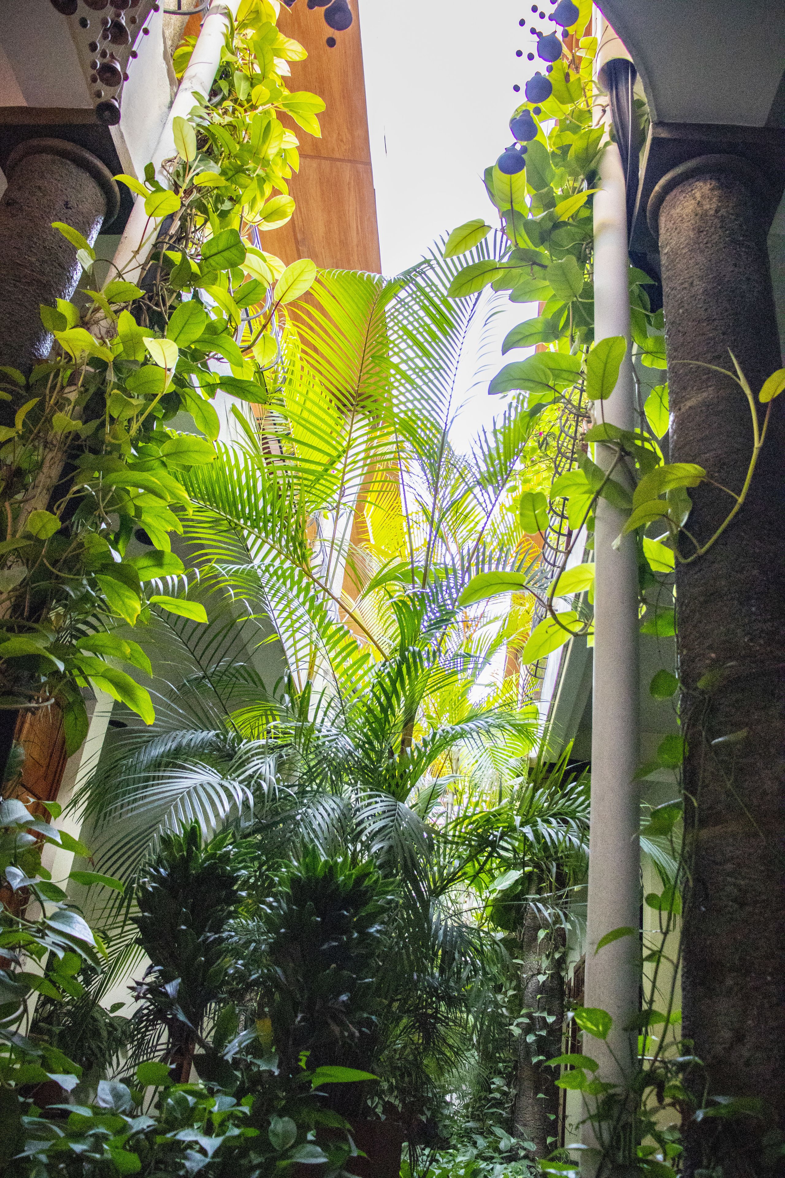 Photo - Arbol de Fuego Eco-hotel