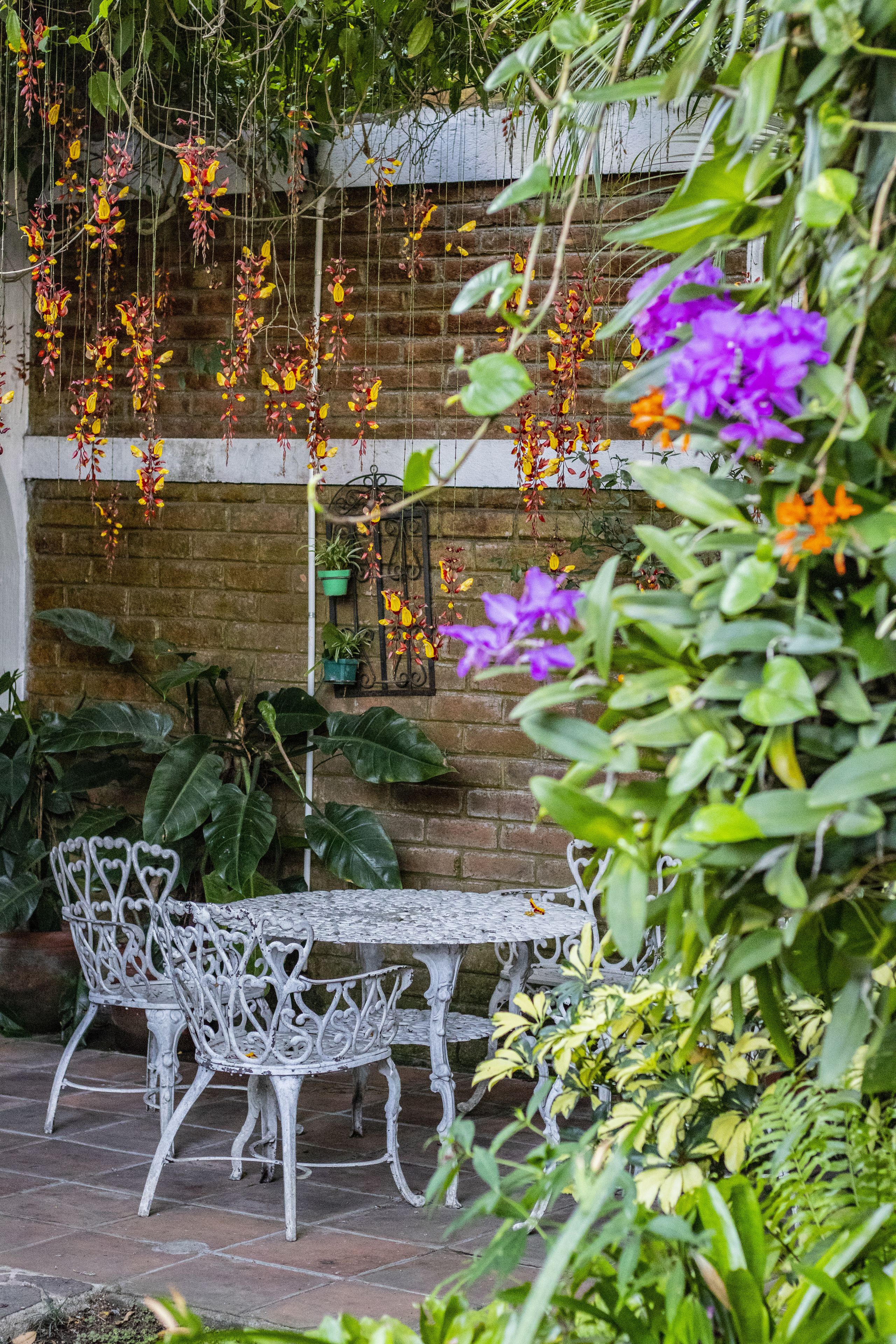 Photo - Arbol de Fuego Eco-hotel