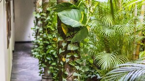 A corridor with columns and lush greenery, including various plants and vines. - Árbol de Fuego Eco-hotel, a green experience in the city (Antiguo Cuscatlán)