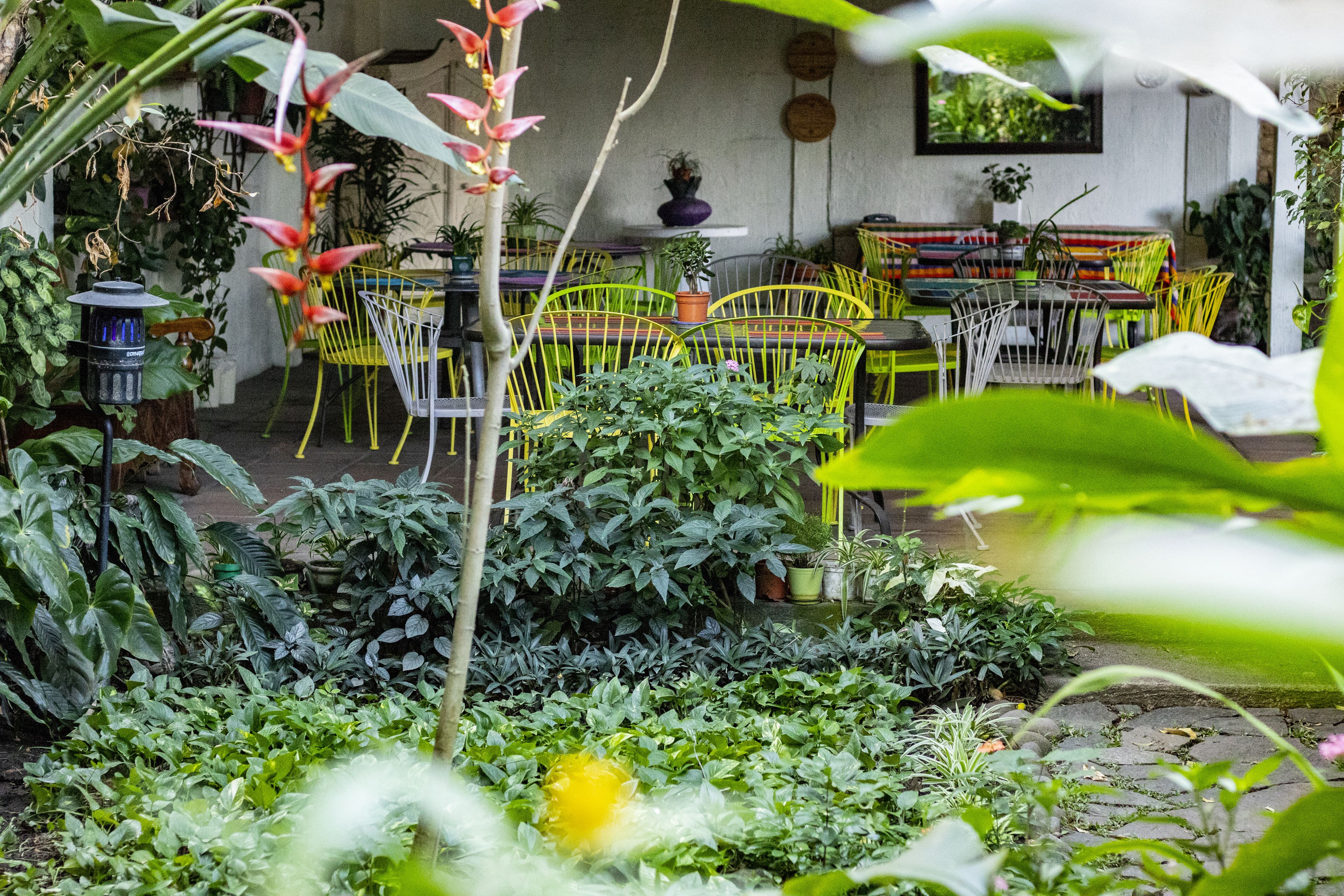 Photo - Arbol de Fuego Eco-hotel