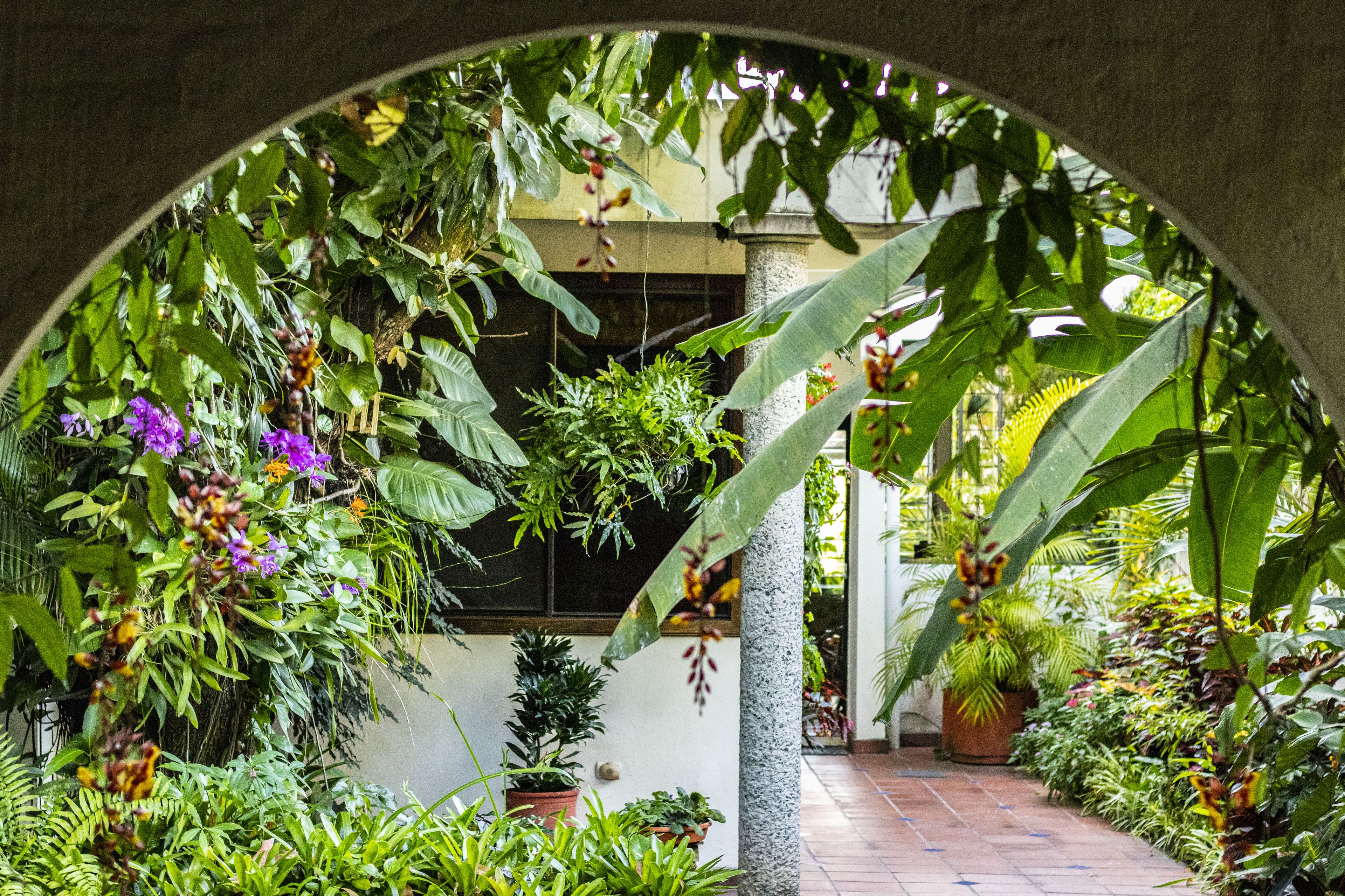 Photo - Arbol de Fuego Eco-hotel