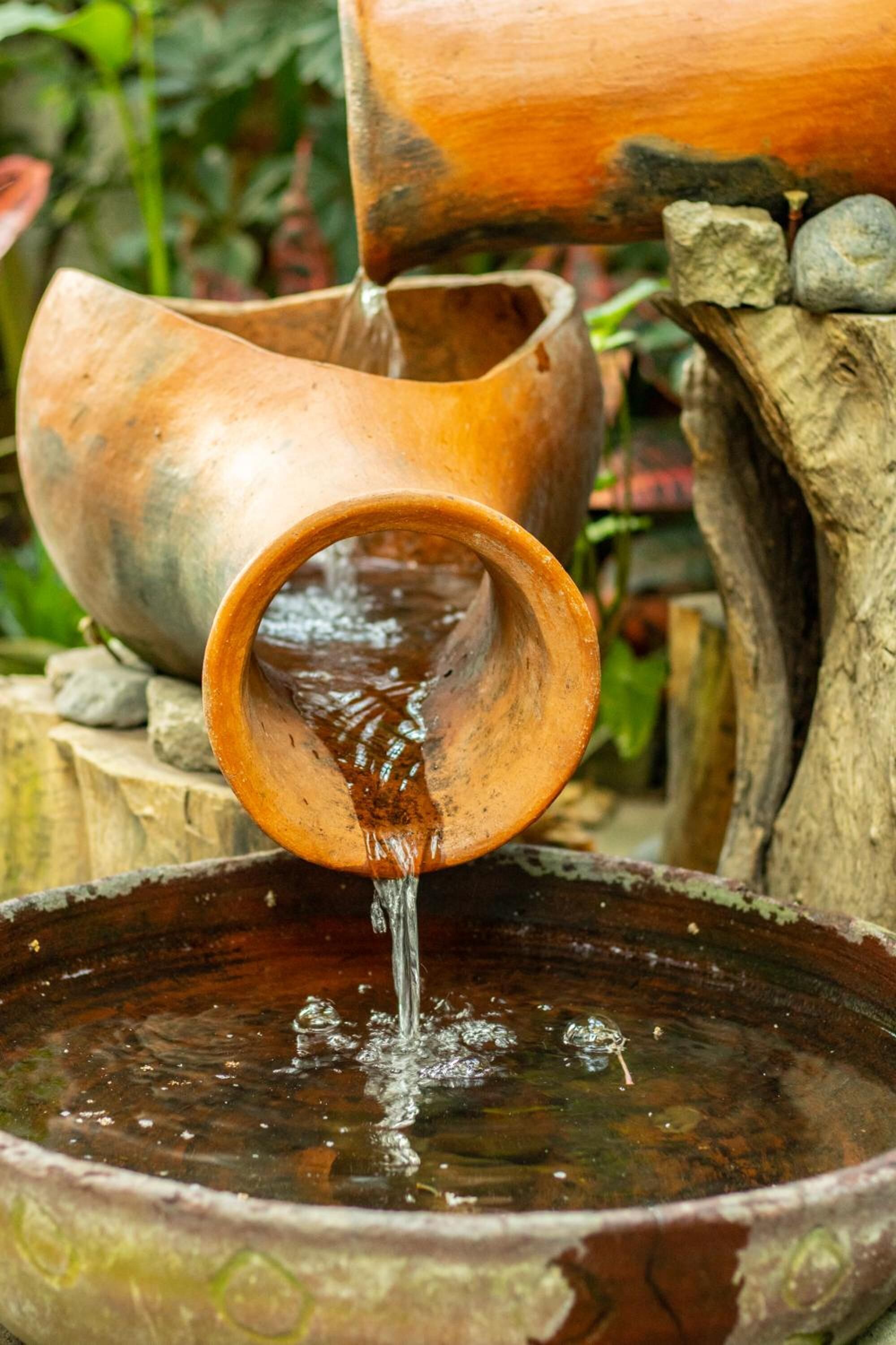 Photo - Arbol de Fuego Eco-hotel