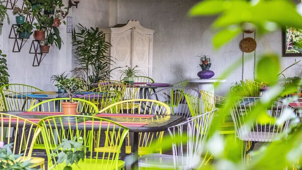 A restaurant with yellow chairs and tables, surrounded by potted plants. - Árbol de Fuego Eco-hotel, a green experience in the city (Antiguo Cuscatlán)