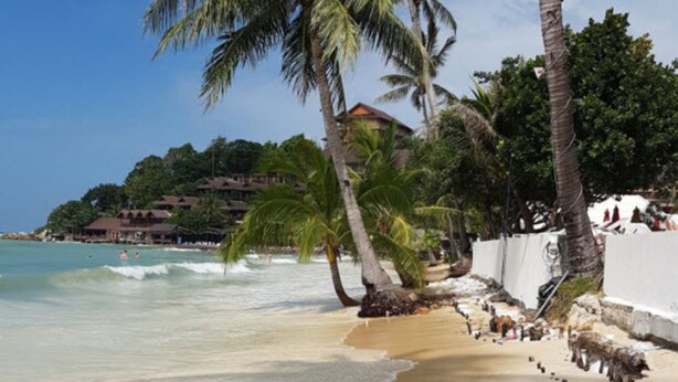 A beach with palm trees, a sandy shore, and buildings in the background. - Haad Yao Over Bay Resort (Ko Pha-ngan)