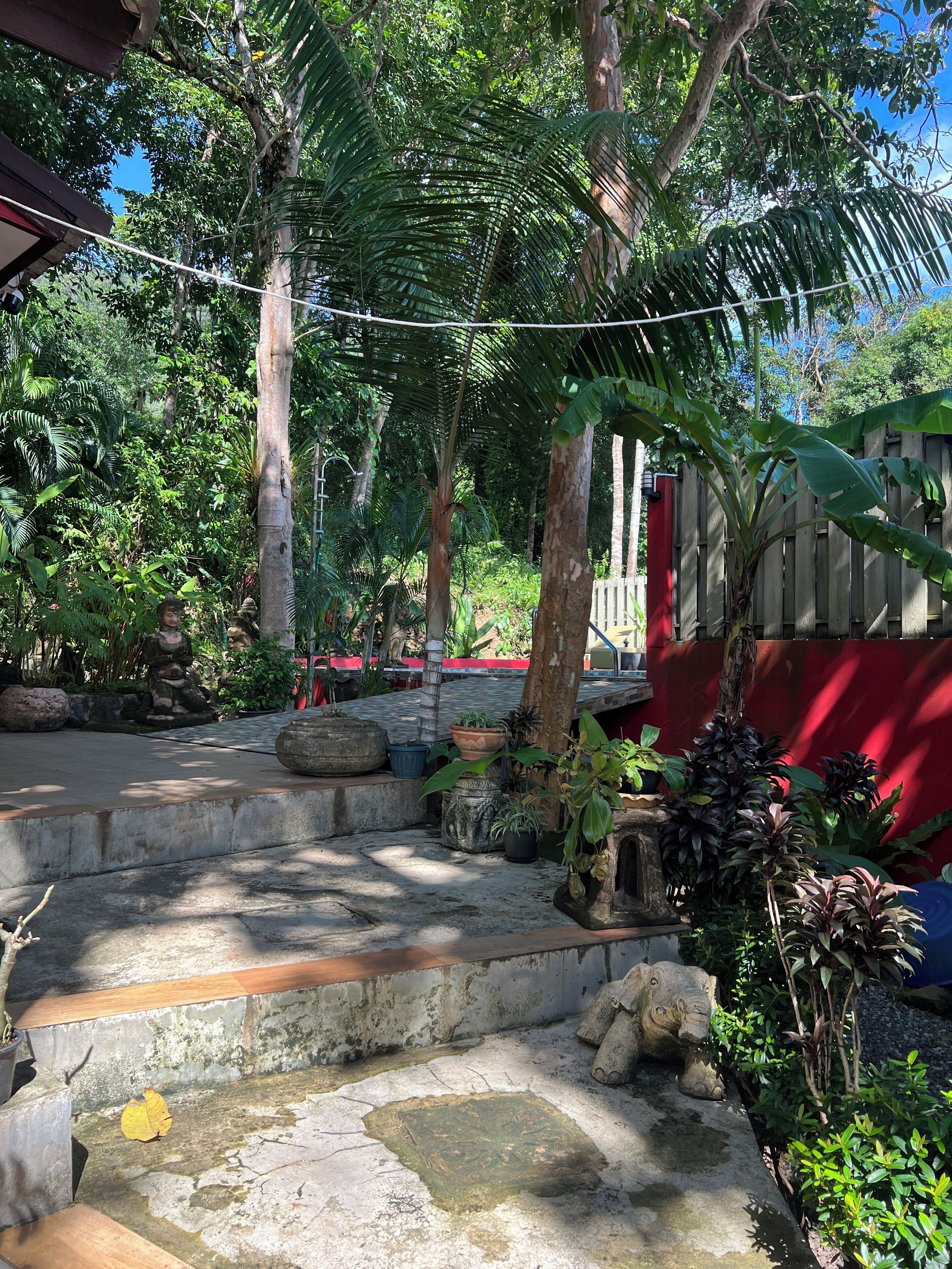 A courtyard with stone steps, potted plants, and a wooden fence.