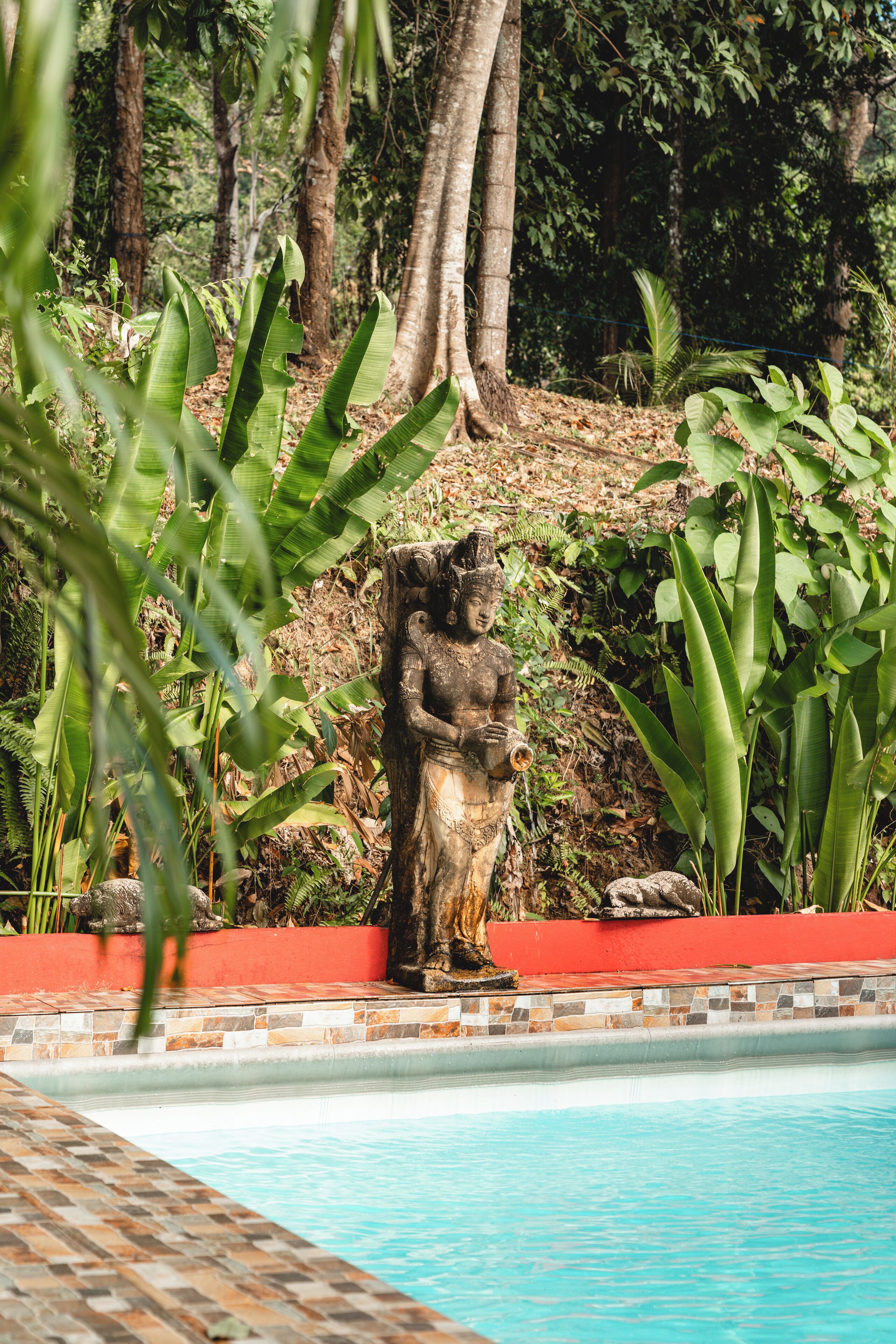 outdoor pool, open 9 am to 8 pm, pool loungers