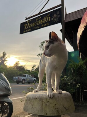 Property entrance - Baan Ton Rak Boutique Resort (Ko Chang)