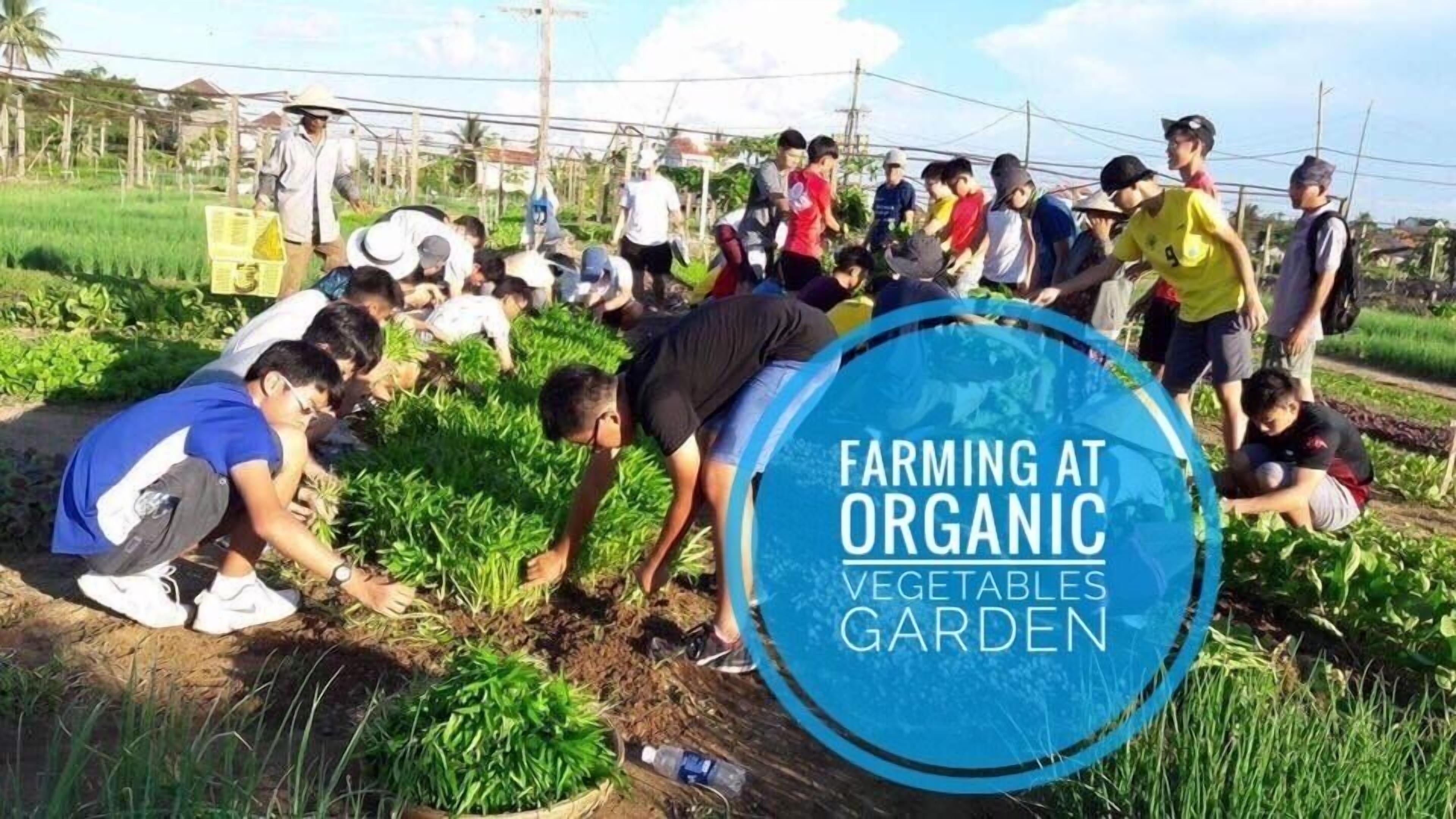 A group of people engaged in farming activities in an organic vegetable garden.